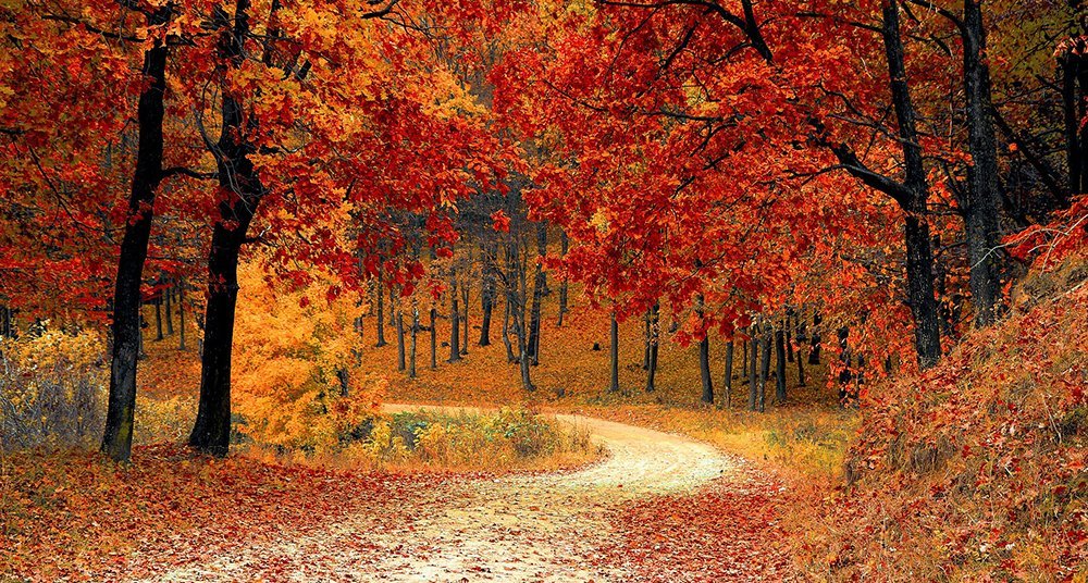 otoño